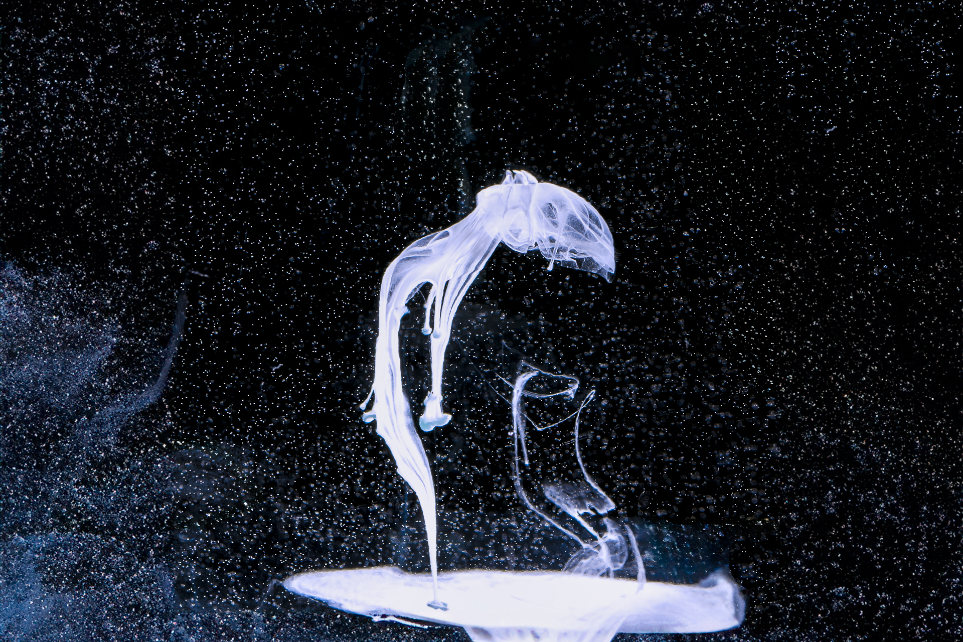 a white liquid in water